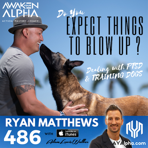 486# Do You Expect Things To Blow Up In Your Face? K-9 Combat Vet…
